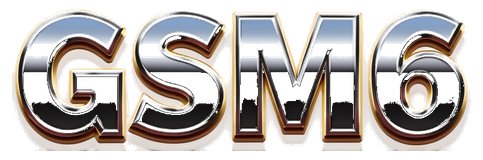 gsm6 logo